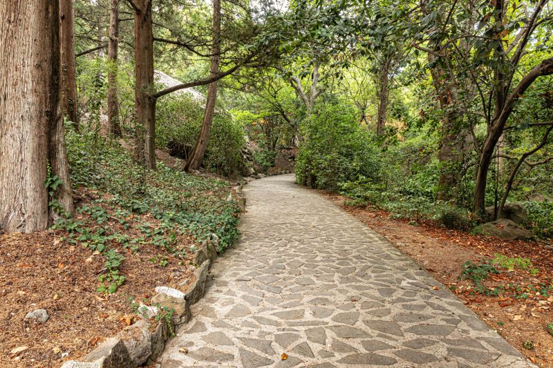 Stone Walkway Repair in Clarksville, TN
