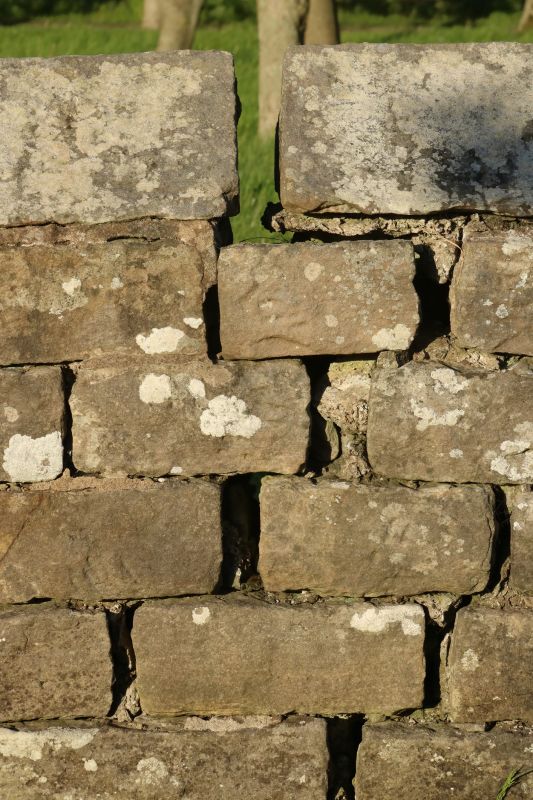 Stone Wall Repair in Indian Mound, TN
